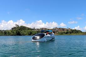 Dolphin Glass-Bottom Boat Ride